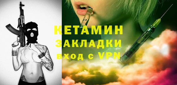 хмурый Пересвет