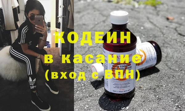 хмурый Пересвет