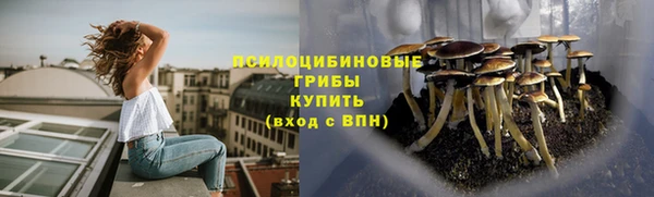 хмурый Пересвет