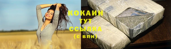 хмурый Пересвет