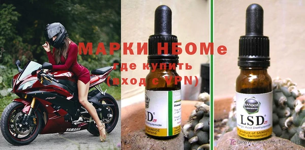 хмурый Пересвет