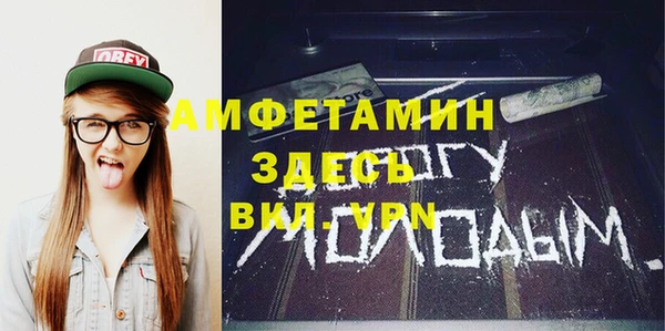 хмурый Пересвет