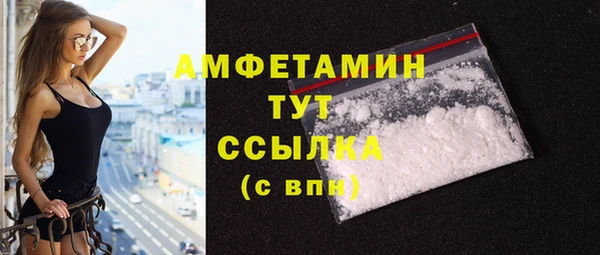 хмурый Пересвет
