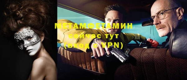 хмурый Пересвет