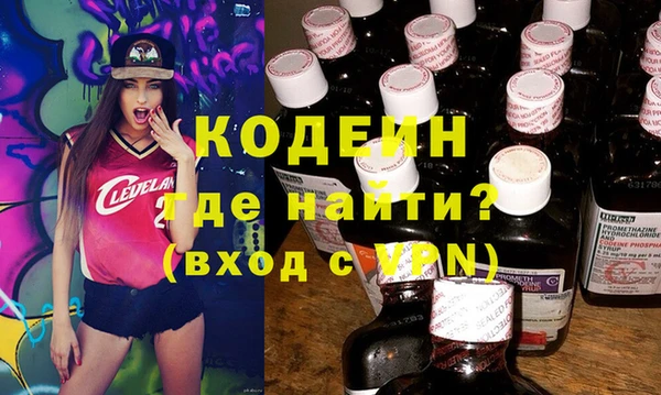 хмурый Пересвет